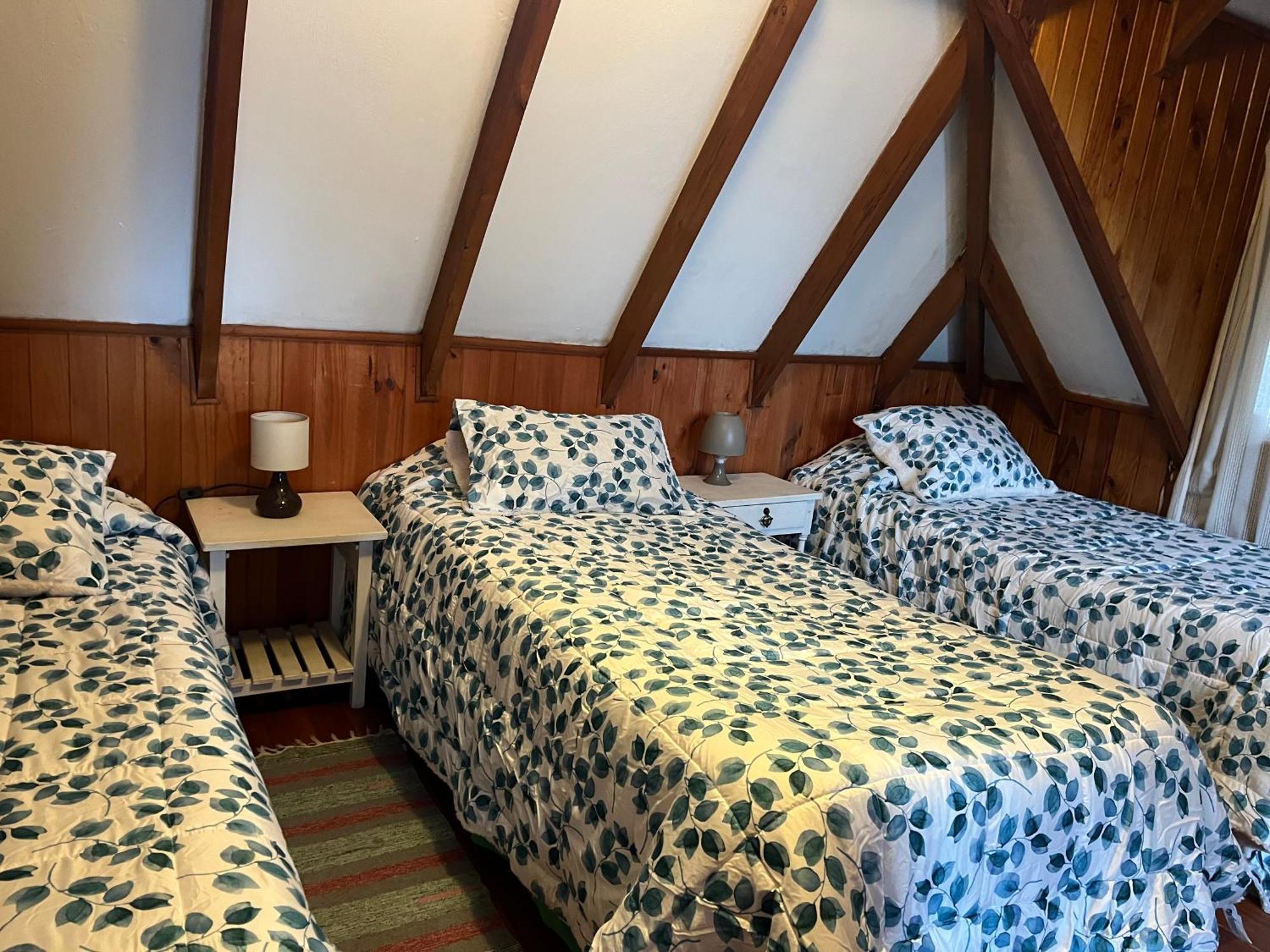 Cabana Ruca Quimey Villarrica Exterior photo